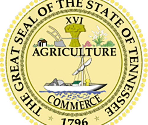 Tennessee Eyewear Repair